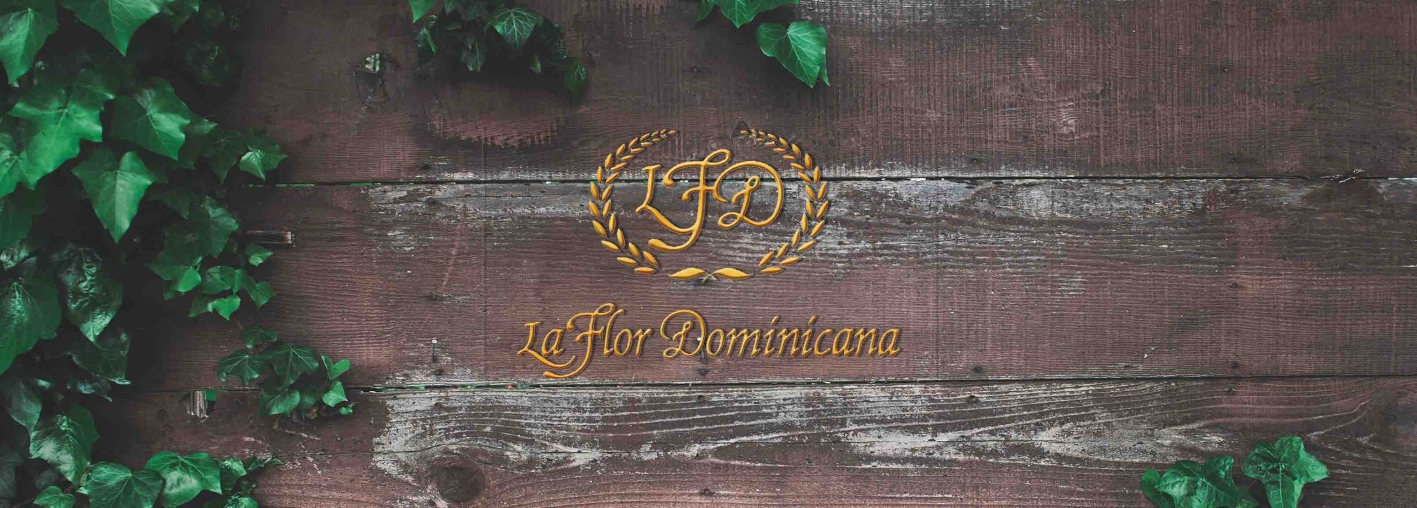 La Flor Dominicana (LFD) - Cigar 30