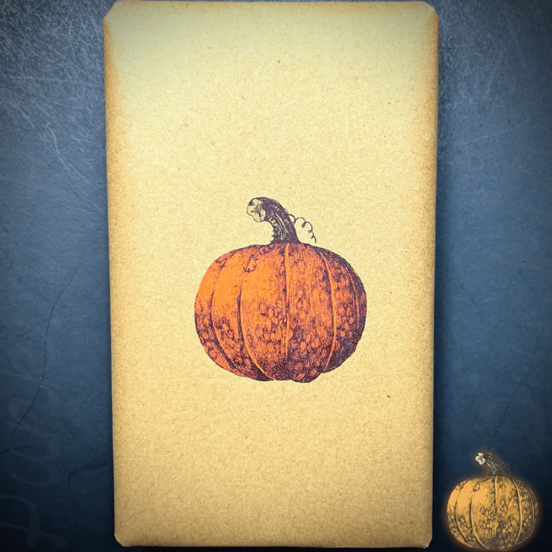 Ezra Zion Punkin' Pie & Cream '25 5 Pack - Cigar 30