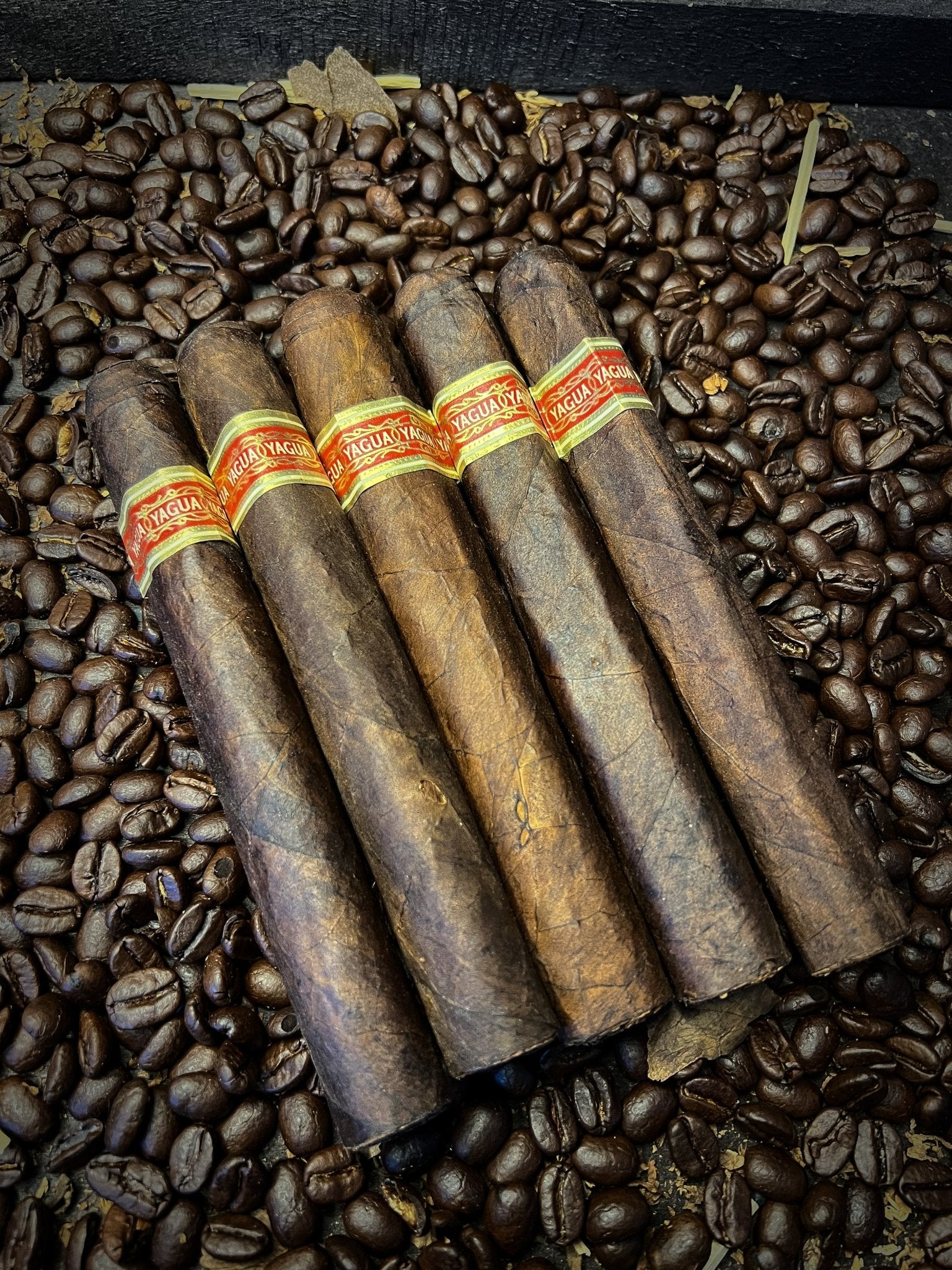 J.C. Newman Yagua 5 pack - Cigar 30