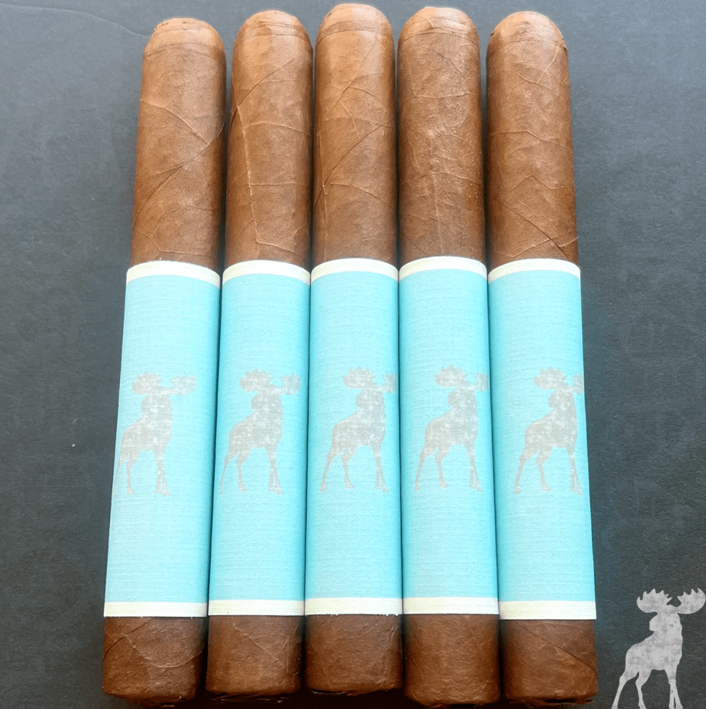 Nomad Vanilla Mousse 2025 5 Pack - Cigar 30
