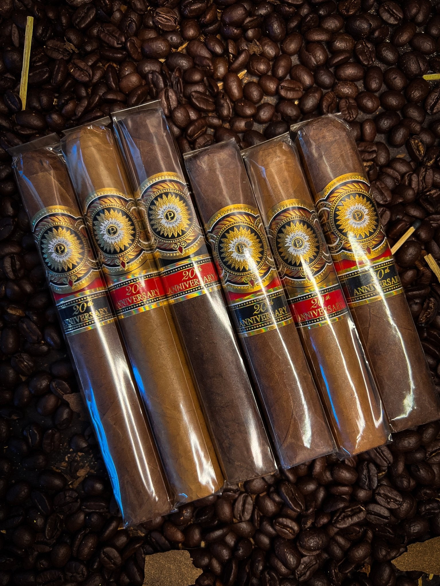 Perdomo 20th Sampler - Cigar 30