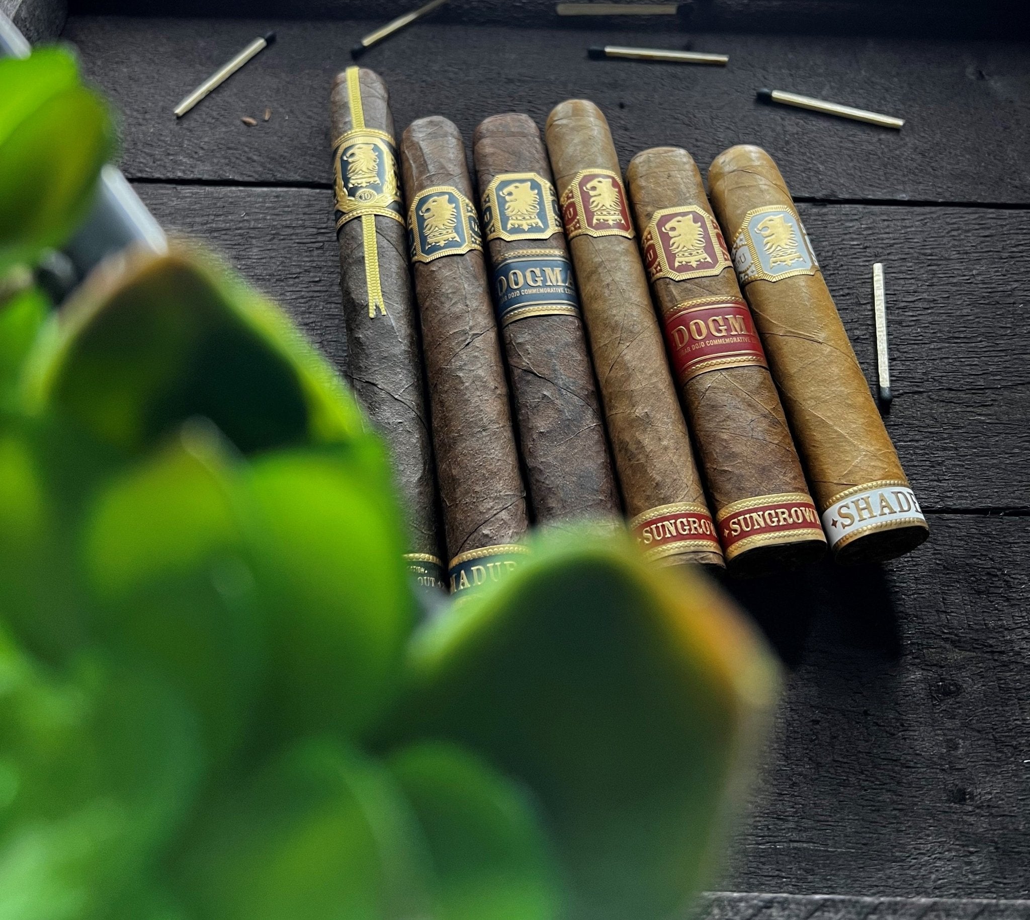 Cigar Samplers - Cigar 30