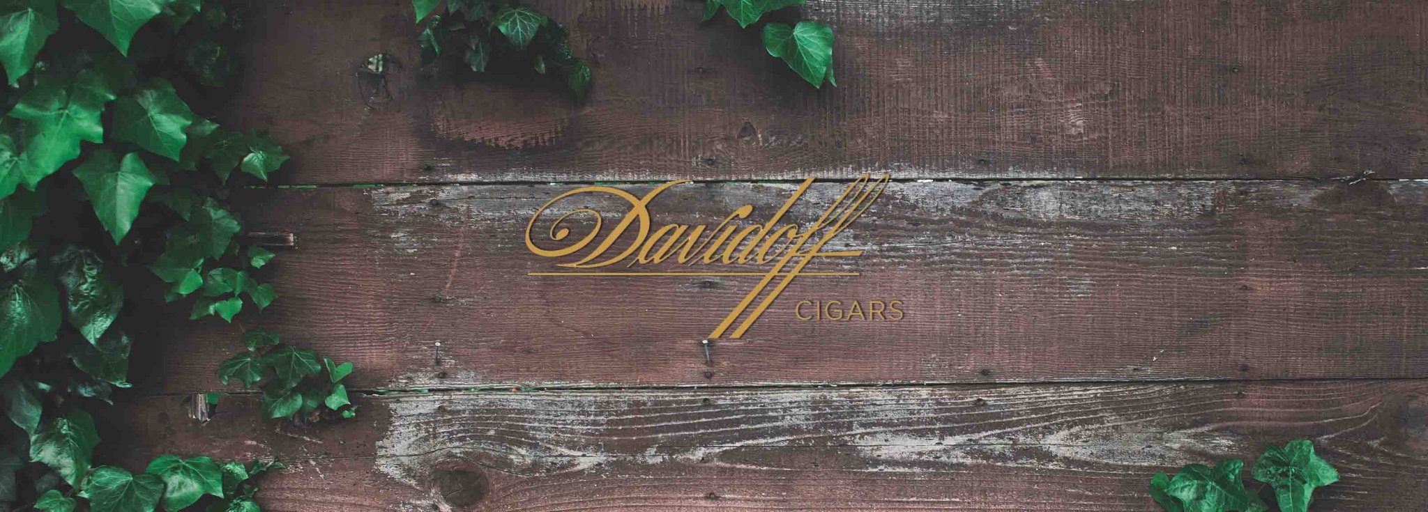Davidoff - Cigar 30