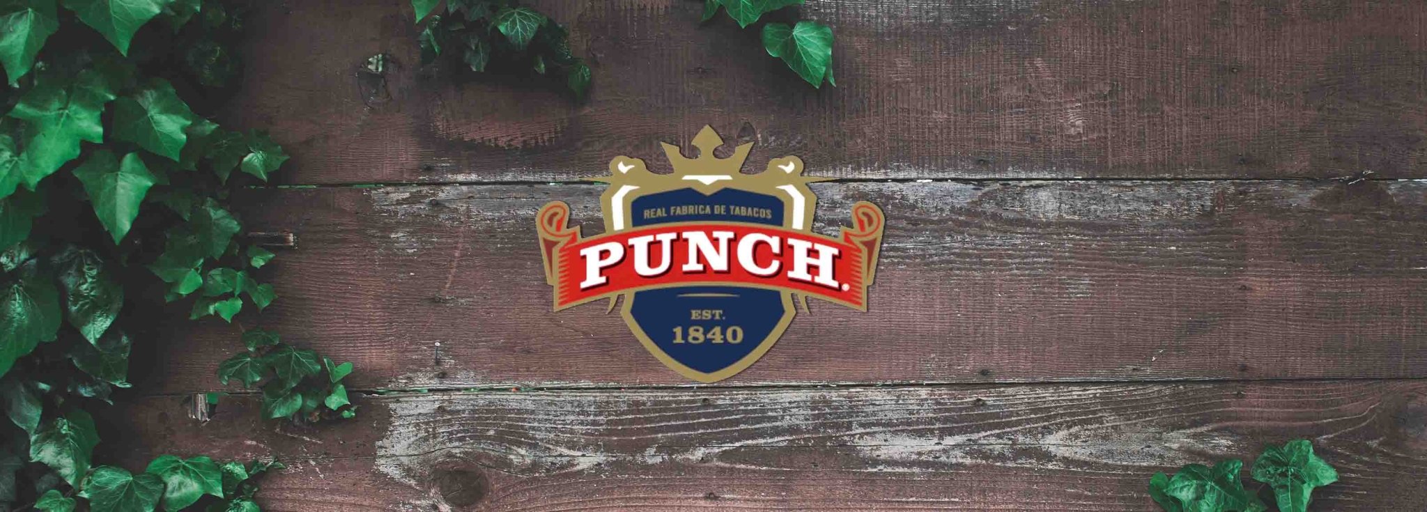 Punch - Cigar 30