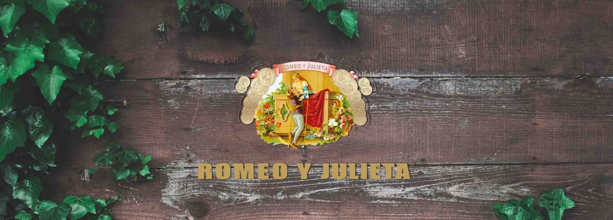 Romeo Y Julieta - Cigar 30
