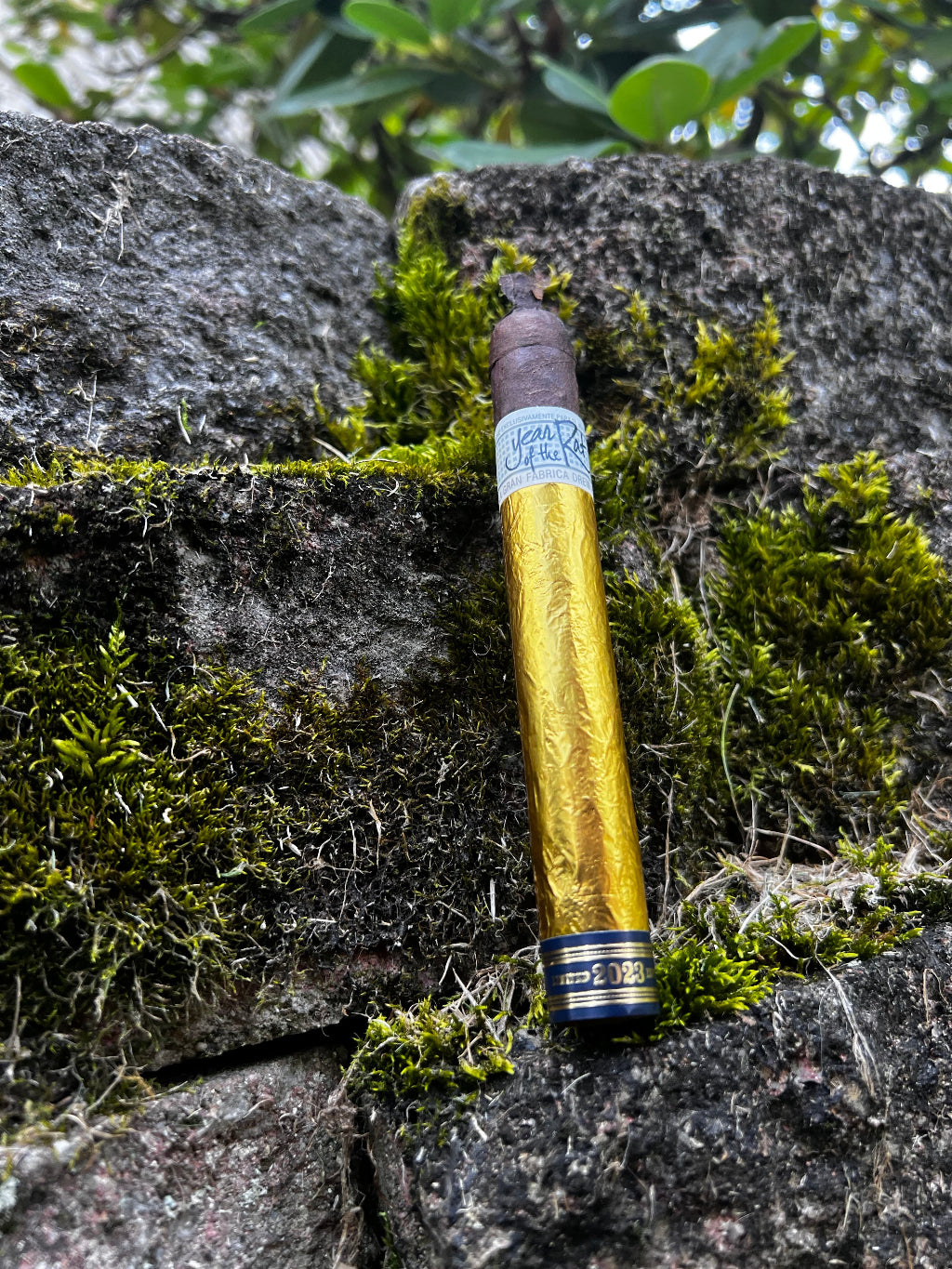 Visit Cigar 30
