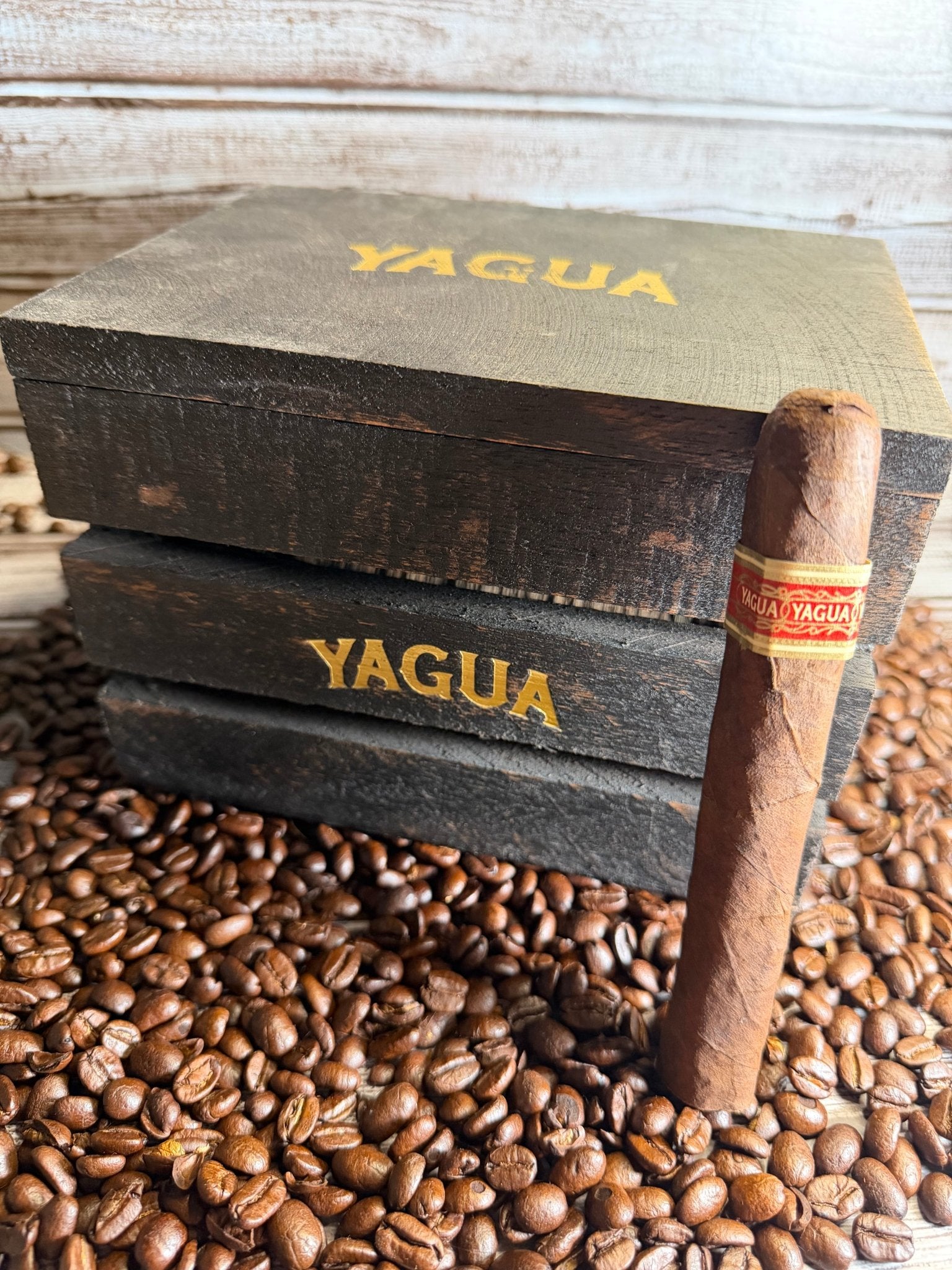 JC Newman Yagua Toro - Cigar 30