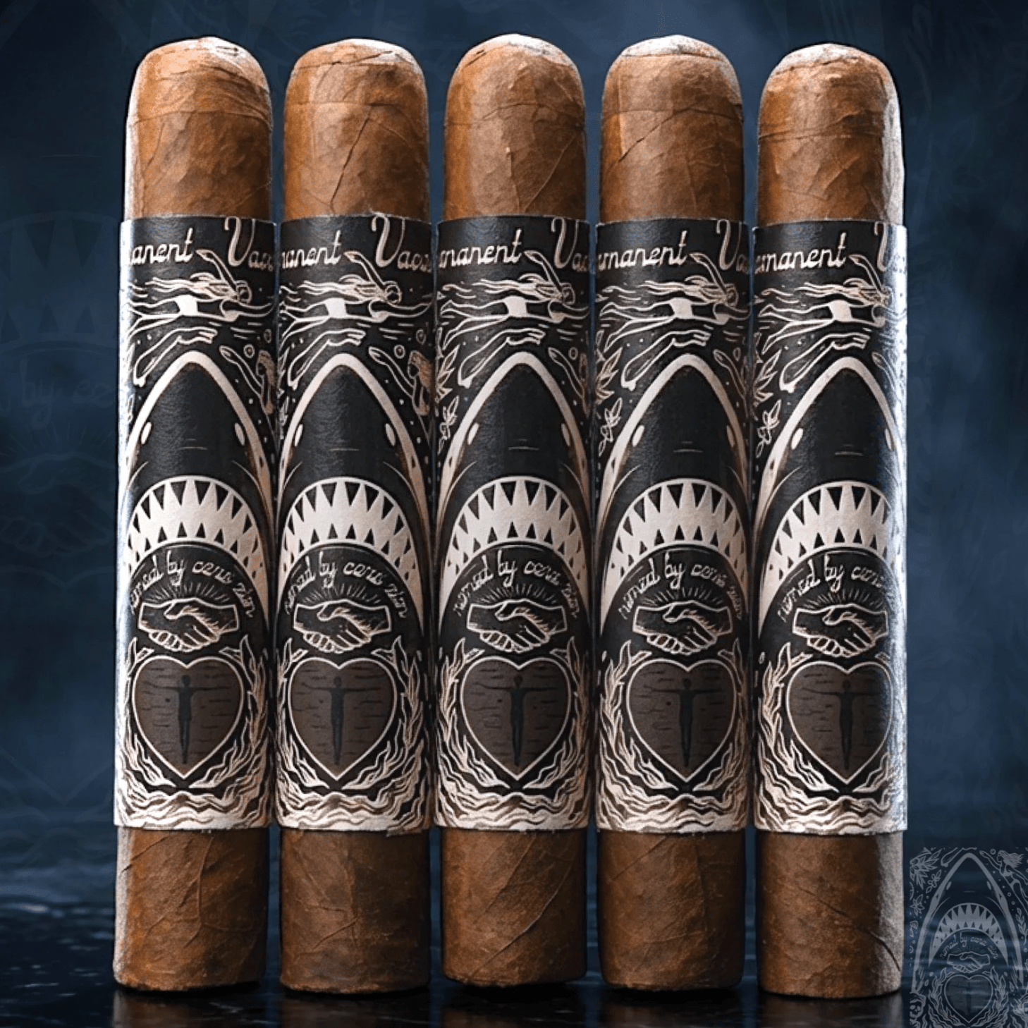 Nomad Permanent Vacation Endless Summer 5 Pack - Cigar 30