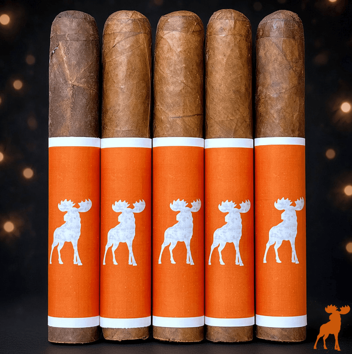 Nomad PUMPKIN SPICE MOUSSE 2026 Ltd. 5 Pack - Cigar 30